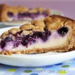 vegan blueberry cheesecake