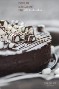 Closeup of a Chocolate Blackcurrant Cake with Marshmallows and Melted Chocolate on Top.