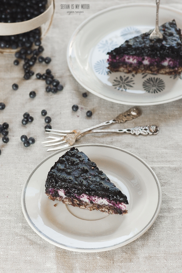 macaroon chocolate cake with blueberry topping 