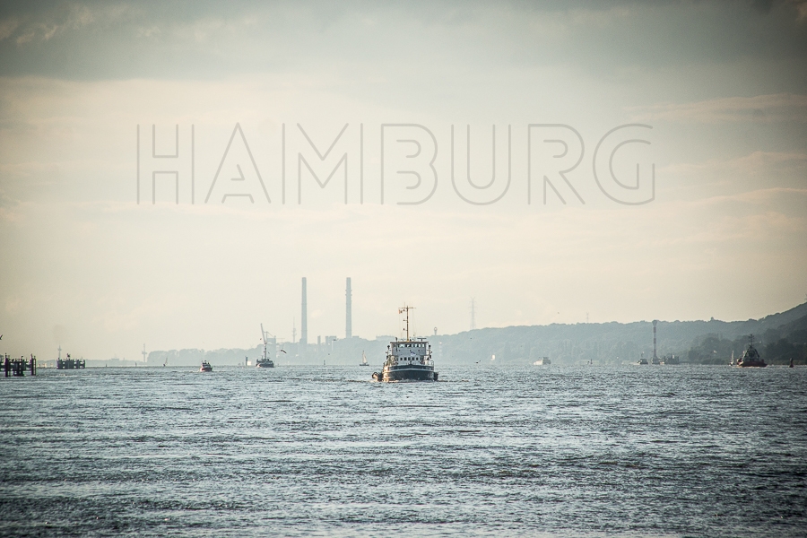 Hamburg Vegan | Vegan Month of Food 2015