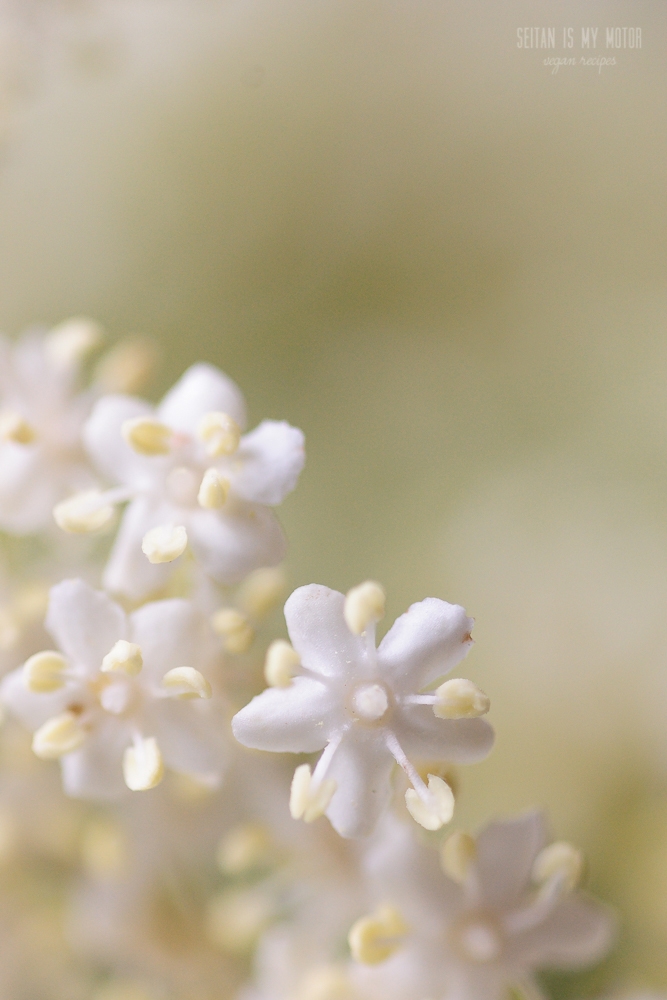 Hollerwaffeln {Waffles with Elderberry Flowers}