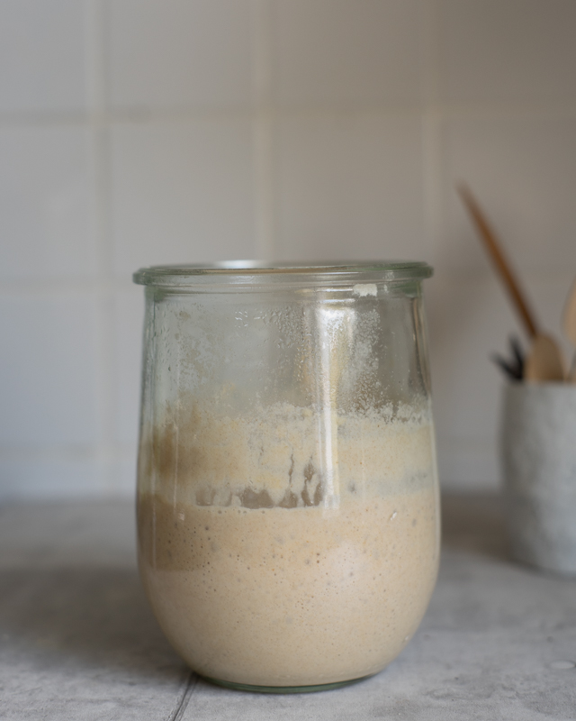 Rye Flour Sourdough Starter Ready To Use