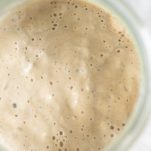 rye sourdough starter Rye Flour Sourdough Starter Ready To Use