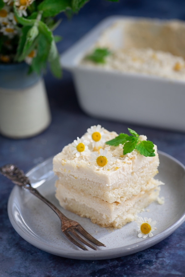 Light and Fresh Lemon Tiramisù – seitan is my motor