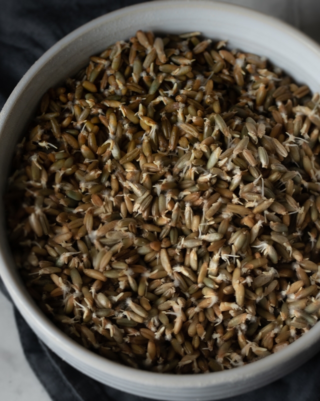 Schrotbrot: A German whole meal rye bread made with sourdough and without flour.