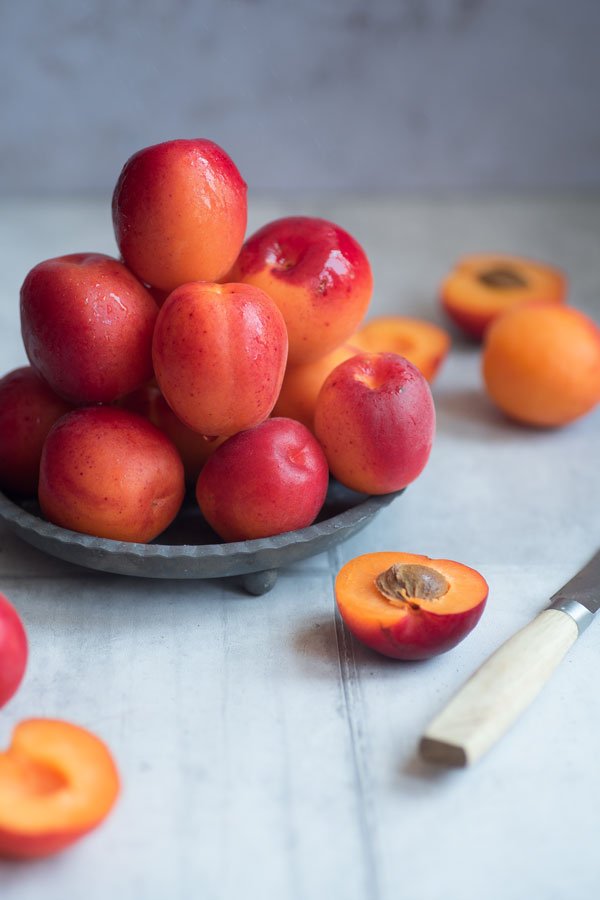 rote Aprikosen auf einem Teller | red apricots on a plate