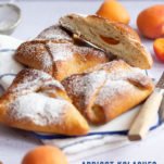 Austrian Apricot Kolaches • Seitan Is My Motor
