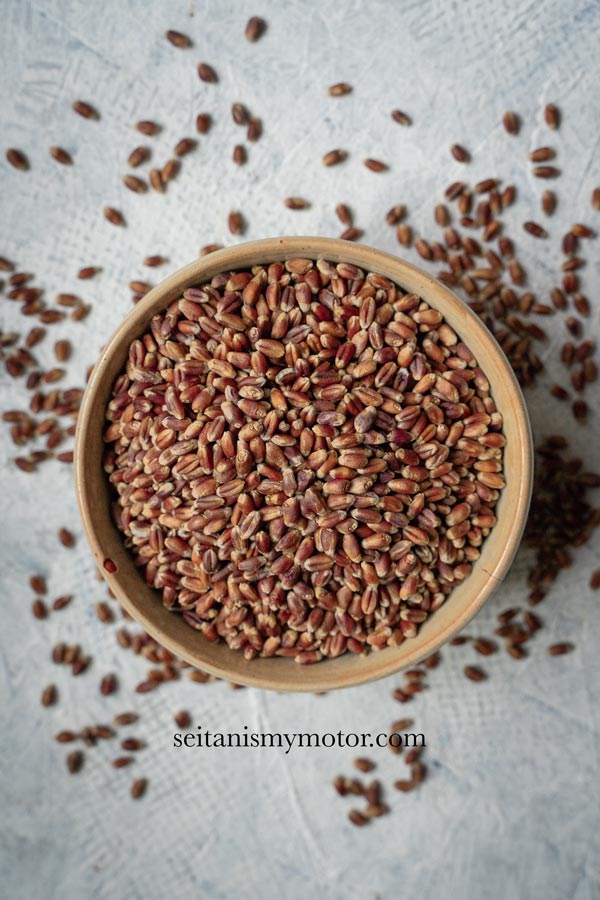 A bowl filled with purple wheat grains.